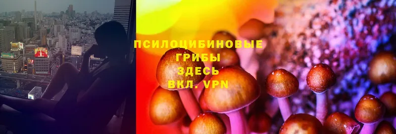 blacksprut зеркало  где можно купить   Сортавала  Галлюциногенные грибы Psilocybine cubensis 